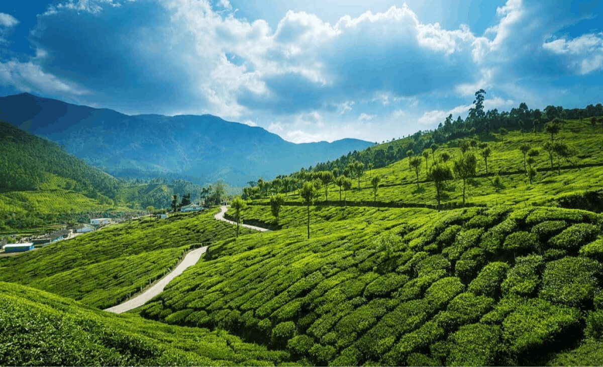 munnar