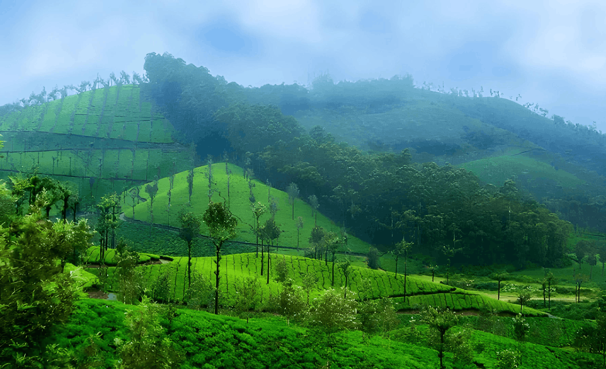 valparai